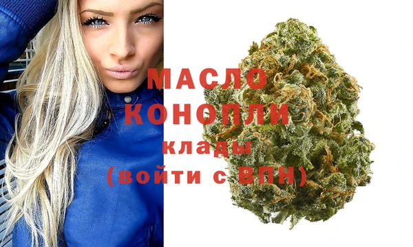 индика Нея