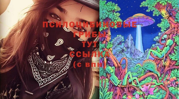 сатива Нефтекумск