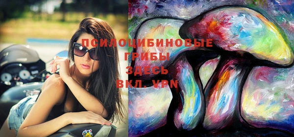 бошки Новодвинск
