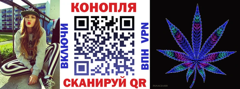 дарнет шоп  Катайск  ссылка на мегу ссылки  Каннабис Amnesia 
